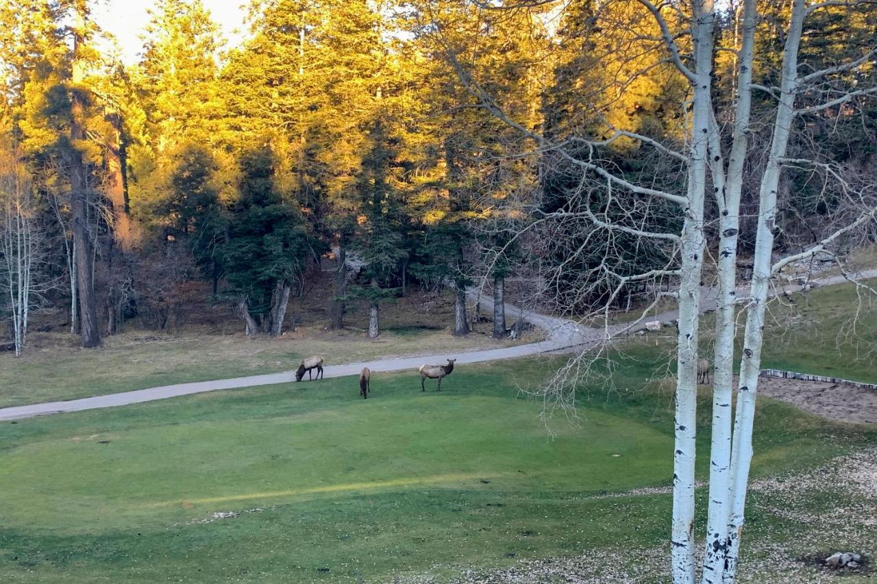 Bright Cloudcroft Condo With Game Room And Deck! Εξωτερικό φωτογραφία